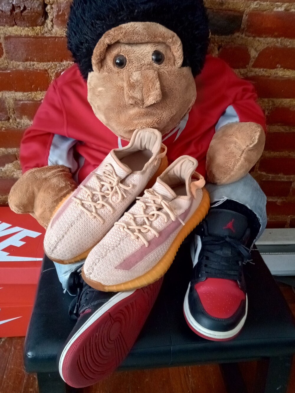 Adidas Yeezy Boost 350 V2